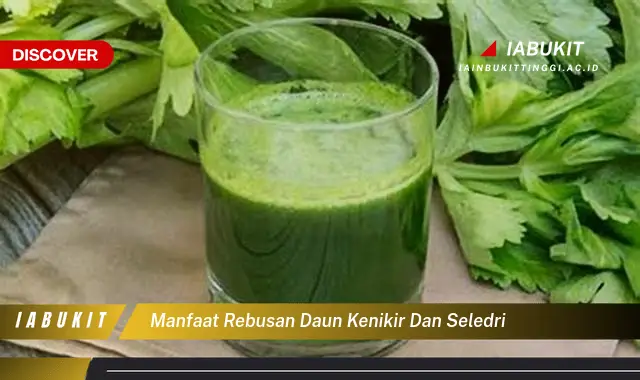 manfaat rebusan daun kenikir dan seledri