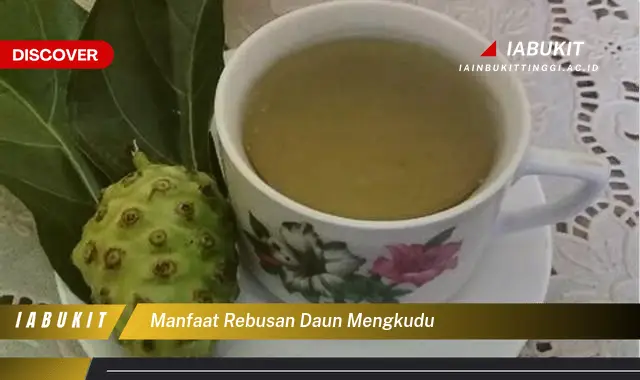 manfaat rebusan daun mengkudu