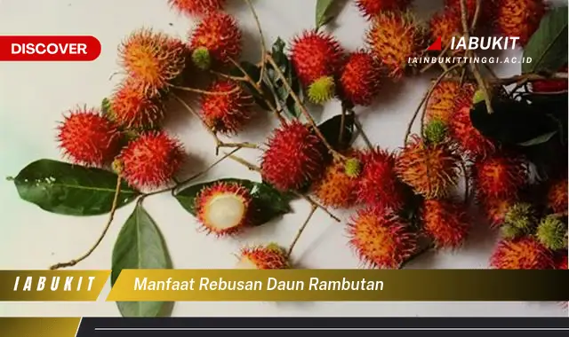 Bukan cuma daun sirsak, Ini dia 5 Manfaat rebusan daun rambutan yang Wajib Diketahui - E-Jurnal