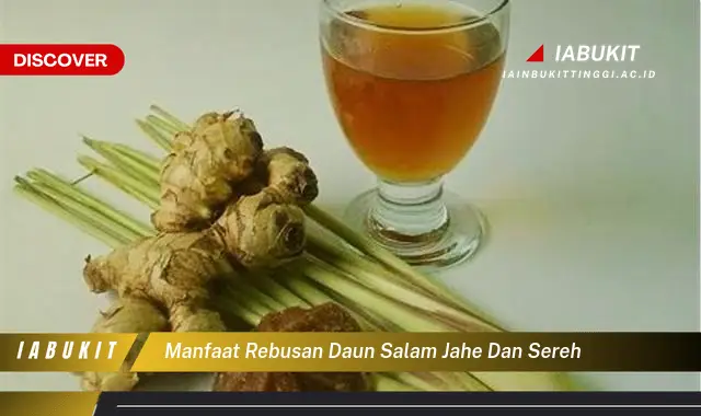 manfaat rebusan daun salam jahe dan sereh