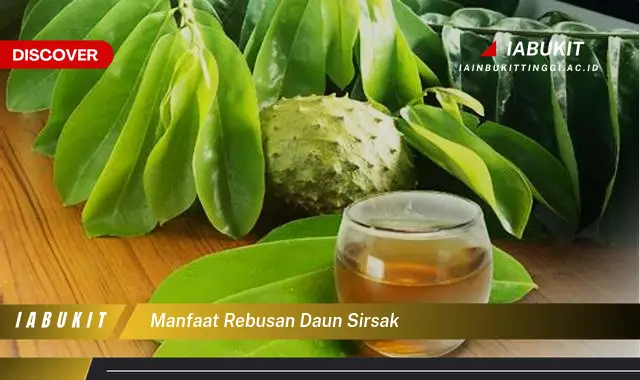 manfaat rebusan daun sirsak