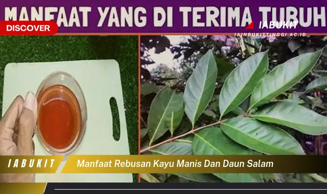 manfaat rebusan kayu manis dan daun salam