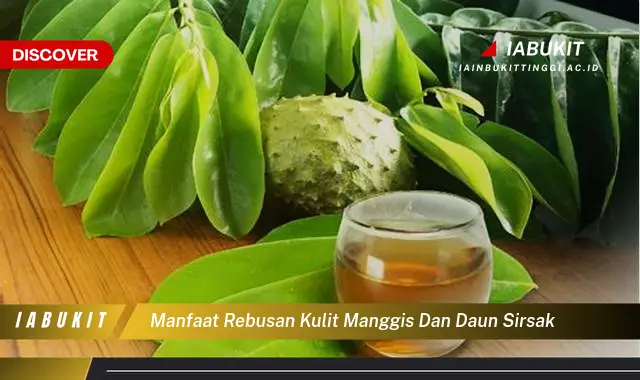 manfaat rebusan kulit manggis dan daun sirsak