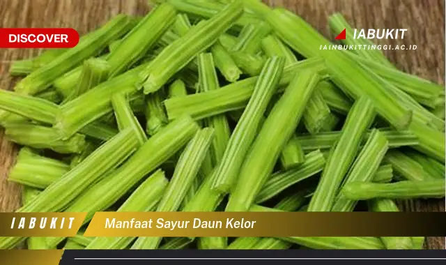 manfaat sayur daun kelor