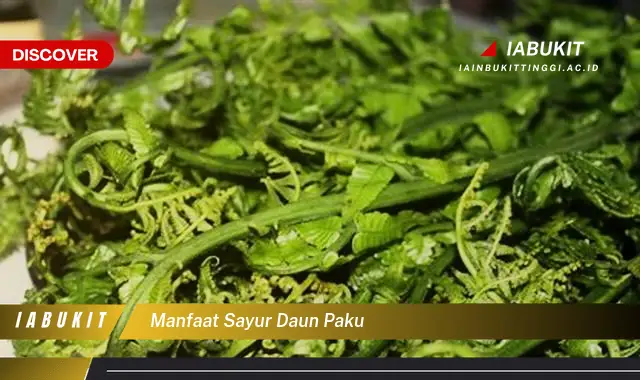 manfaat sayur daun paku