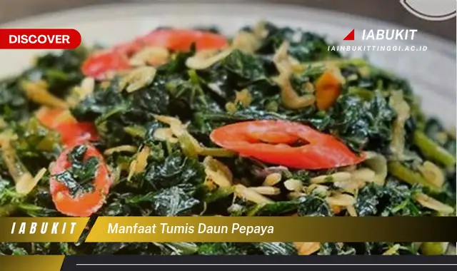 manfaat tumis daun pepaya