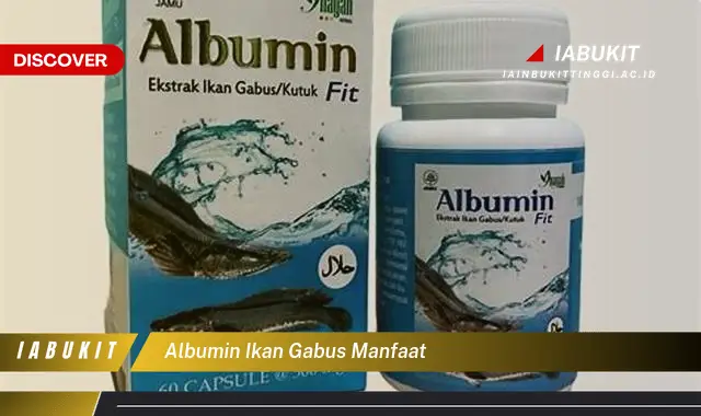 albumin ikan gabus manfaat