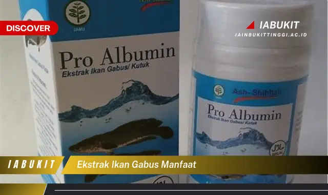 ekstrak ikan gabus manfaat