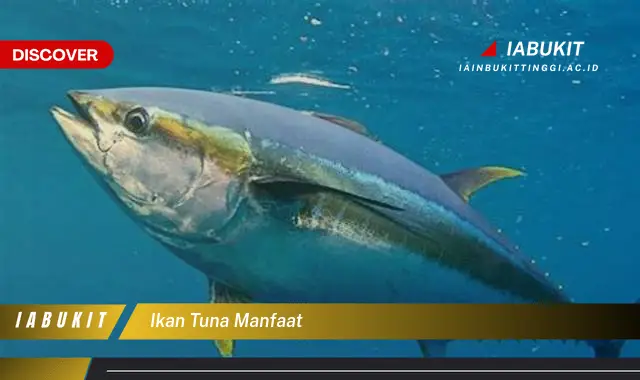 ikan tuna manfaat