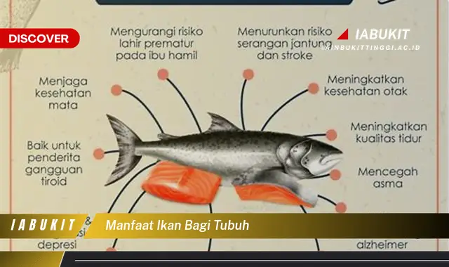 manfaat ikan bagi tubuh manfaat ikan bagi tubuh