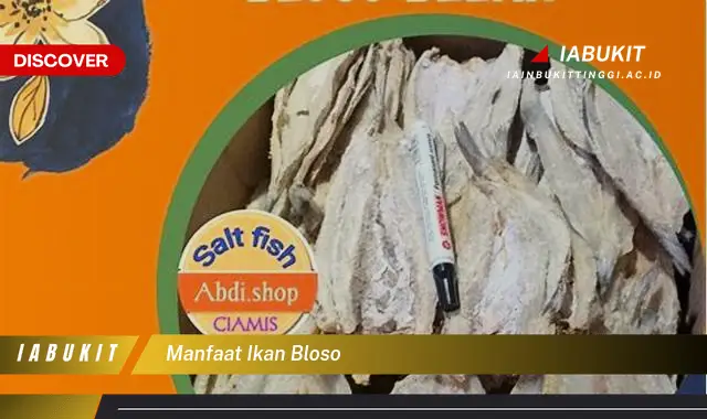 manfaat ikan bloso