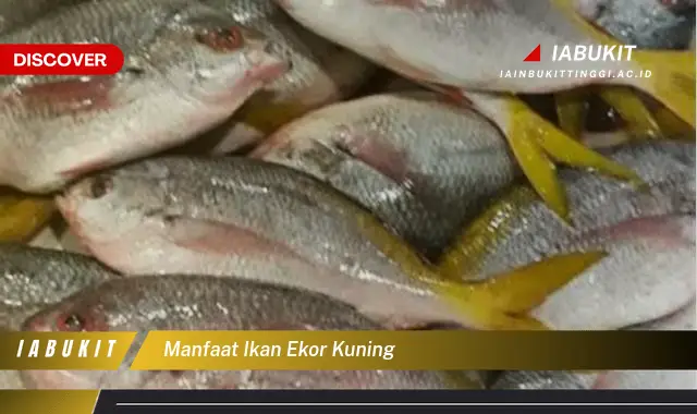 manfaat ikan ekor kuning