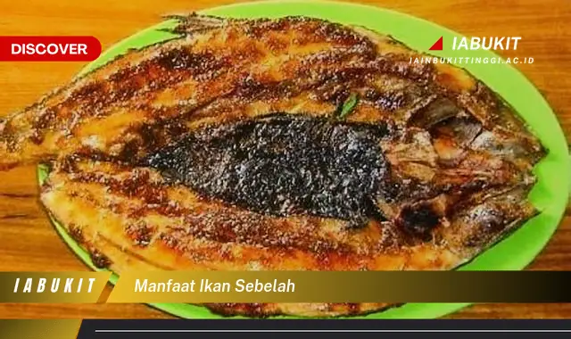 manfaat ikan sebelah