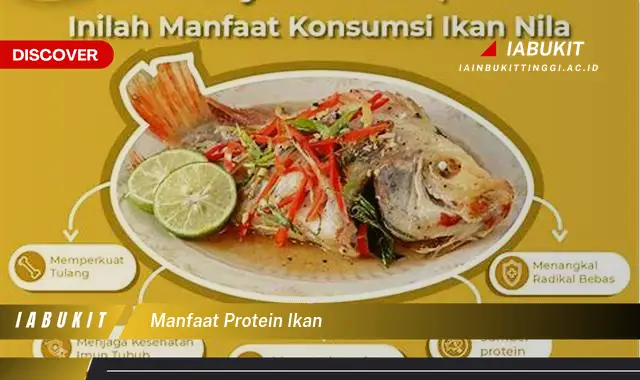 manfaat protein ikan