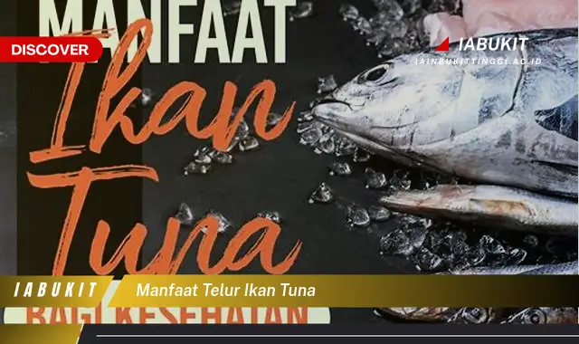 manfaat telur ikan tuna