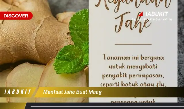 manfaat jahe buat maag