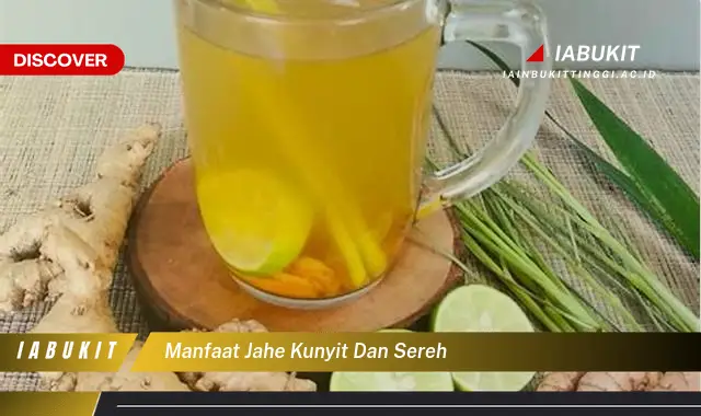 manfaat jahe kunyit dan sereh