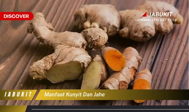 manfaat kunyit dan jahe
