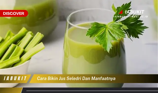 cara bikin jus seledri dan manfaatnya