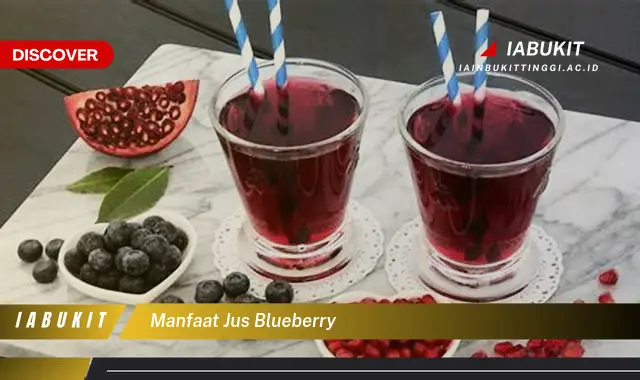 manfaat jus blueberry