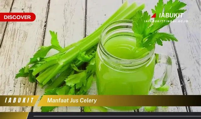 manfaat jus celery