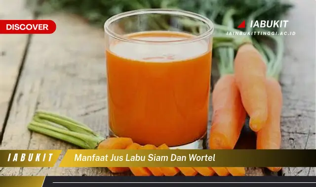 manfaat jus labu siam dan wortel