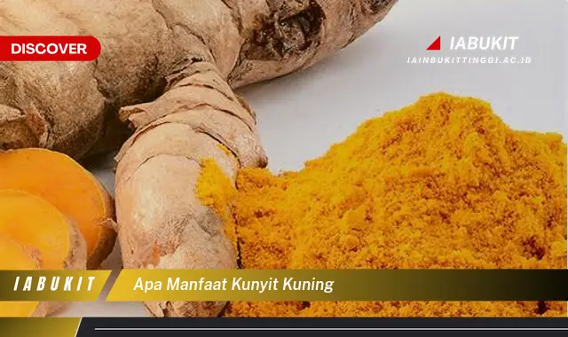 apa manfaat kunyit kuning