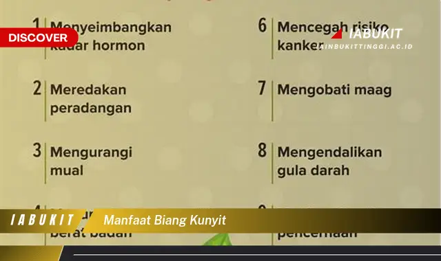 manfaat biang kunyit