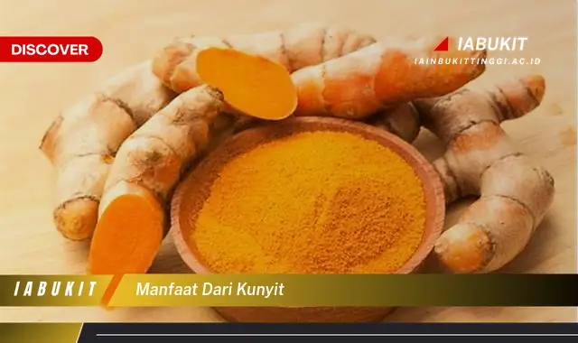 manfaat dari kunyit