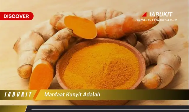 manfaat kunyit adalah