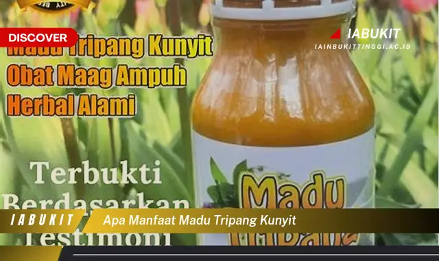 apa manfaat madu tripang kunyit