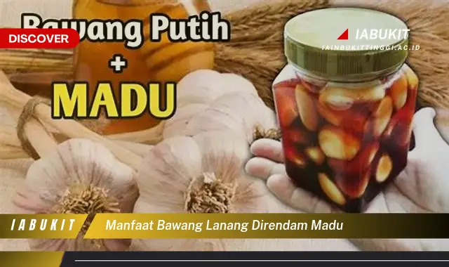 Kamu Wajib Tau, Inilah 20 Manfaat Bawang Lanang Direndam Madu yang Bikin Penasaran - E-Jurnal