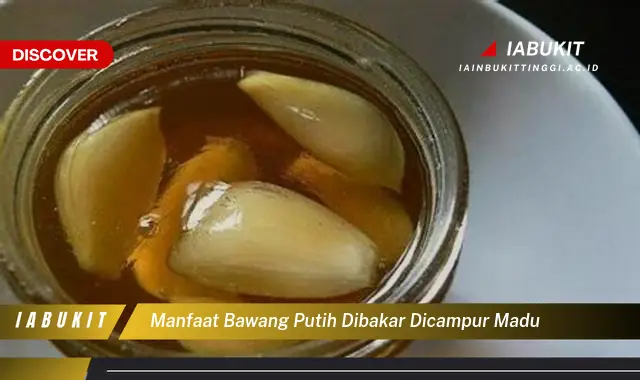manfaat bawang putih dibakar dicampur madu