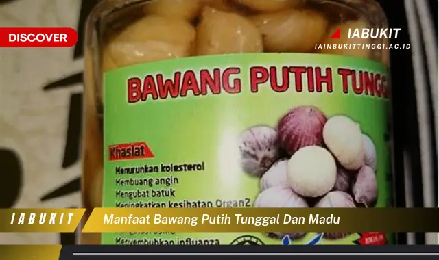 manfaat bawang putih tunggal dan madu