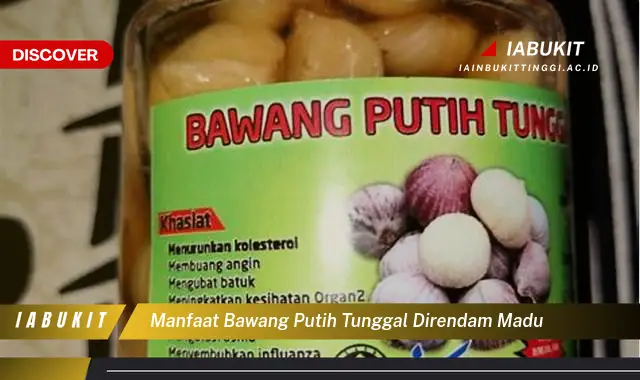 manfaat bawang putih tunggal direndam madu