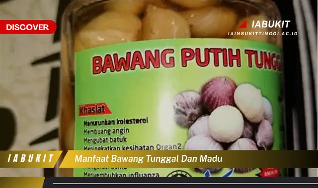 manfaat bawang tunggal dan madu