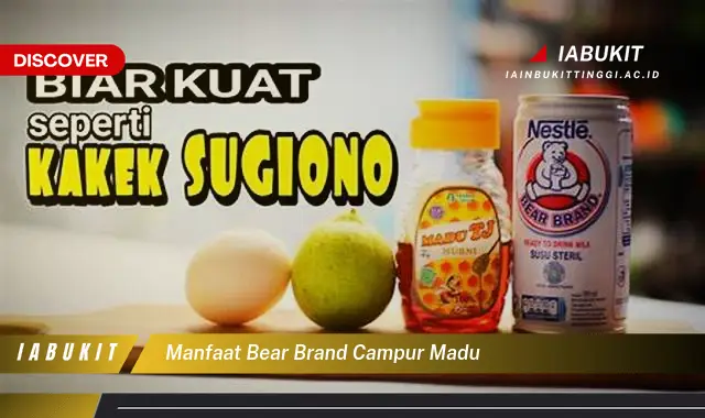 manfaat bear brand campur madu