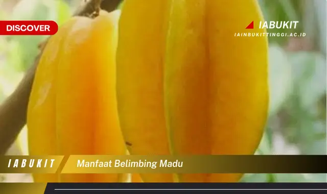 manfaat belimbing madu