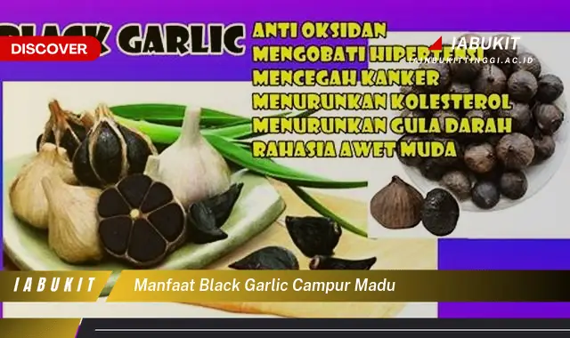 Banyak yang Belum Tahu, Inilah 20 Manfaat Black Garlic Campur Madu yang Bikin Penasaran - E-Jurnal