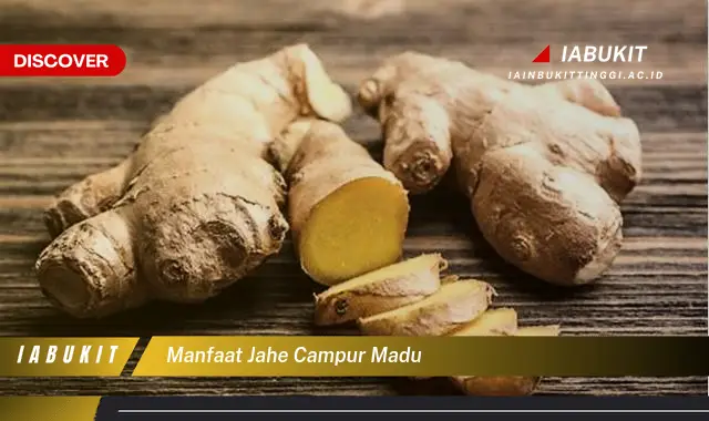 manfaat jahe campur madu