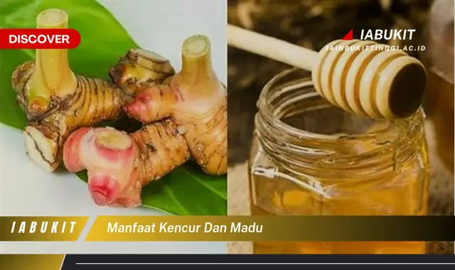 manfaat kencur dan madu