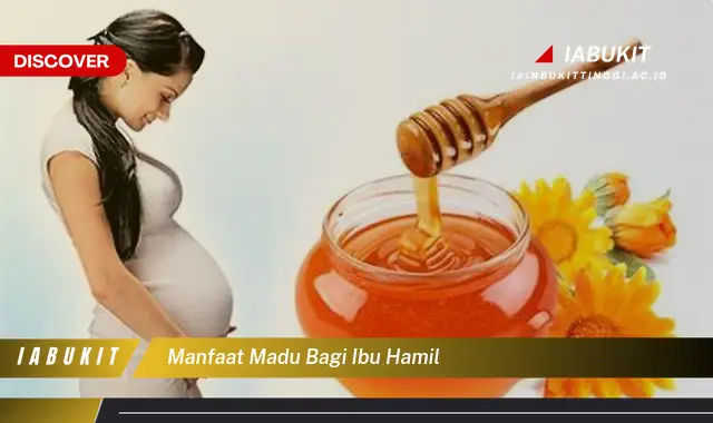 Kamu Wajib Tahu, Inilah 20 Manfaat Madu Bagi Ibu Hamil yang Bikin Penasaran - E-Jurnal