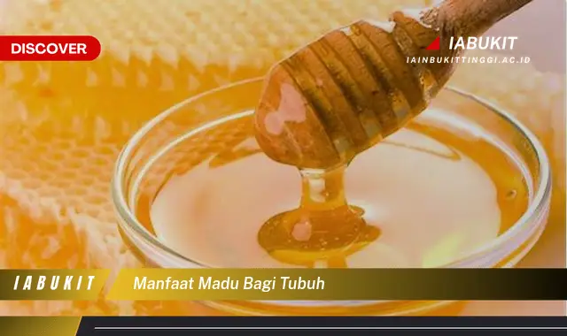 manfaat madu bagi tubuh