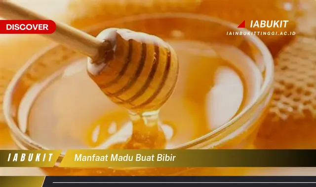 manfaat madu buat bibir manfaat madu buat bibir