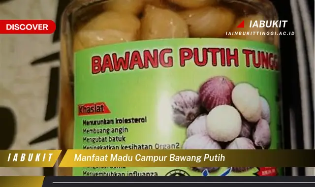 manfaat madu campur bawang putih