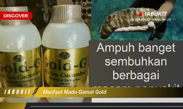 manfaat madu gamat gold