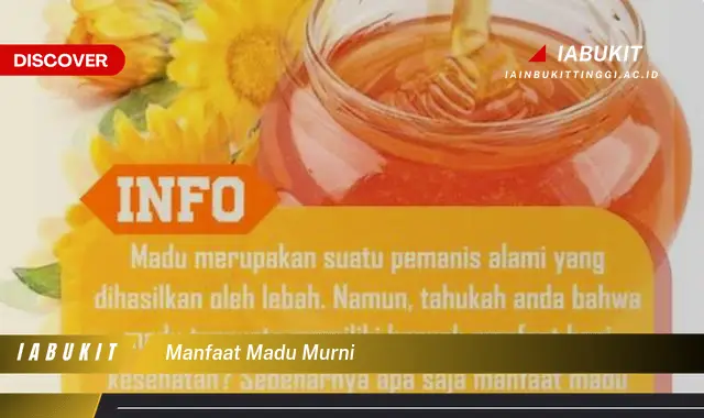 manfaat madu murni