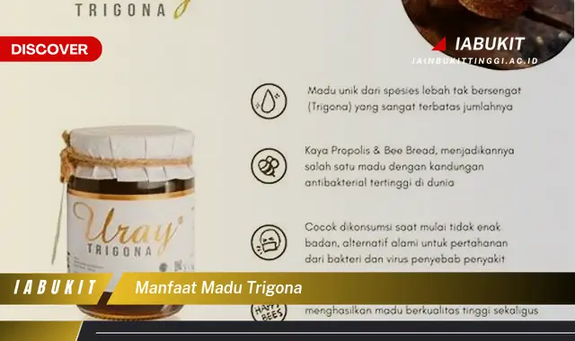 manfaat madu trigona