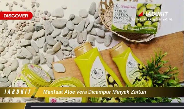 manfaat aloe vera dicampur minyak zaitun