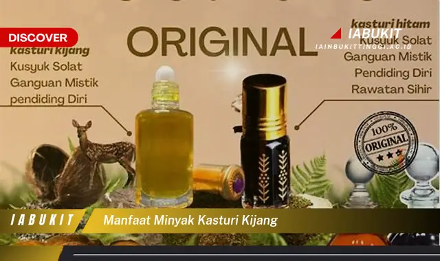 manfaat minyak kasturi kijang